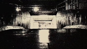 Bruce wayne peso pluma letra