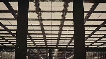 Bruce wayne peso pluma letra