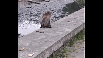 Découvre la thaïlande avec moi et mes galères qui se finissent bien