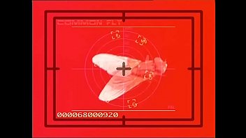 Agenti segreti operazione ninfomane full porn movie