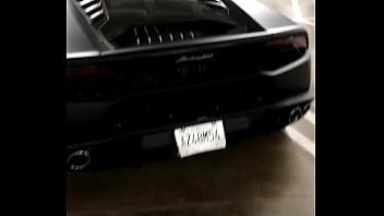Lamb or ghini Lamb or ghini