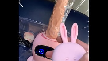 Sex toy