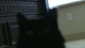 Nicole ray rests her ass on april o'neil's tits so she can fuck her deep