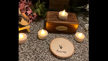 We had a mini funeral for my swiss rat today