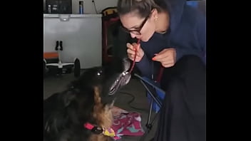 Being stuck in the house okay garage and having a few s ruger and i are trying to recreate lady and the tramp movie