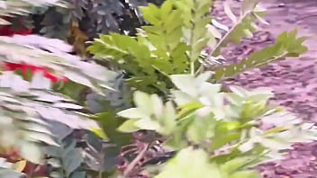 Vizinha evangélica pegando frutas