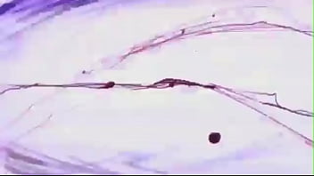 Jovem picudo cantando jojo tomando boquete