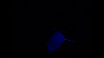 Young slut gets fucked under blacklight