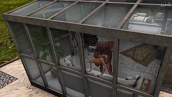 Black stallion and his trans lover