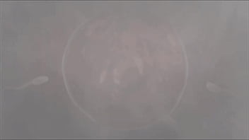 Petite roblox blonde fucked in public park