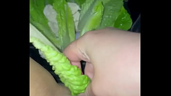 Chicken &vegetables In My Virgin Teen Beautiful 18year Old Wet Sexy Pussy Best Saudi Amateur Masturbate Kinky Food Fetish Arabian Snowwhite Los Angeles Usa 2025 United States Of America Arab Porn thumbnail