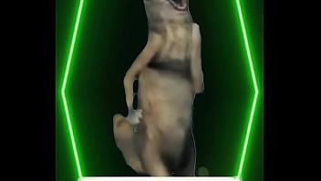 No words needed — just presence the definition of power wrapped in elegance