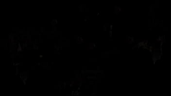 Treasure of nadia0000050