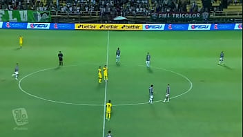 Campeonato carioca 2022