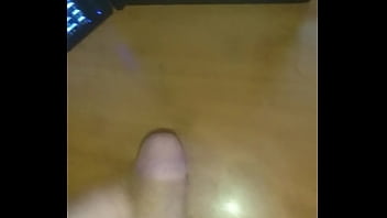 Tributo pepina chilena