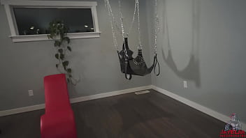 Our curious neighbor