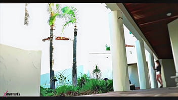 Xdreamstv cartoon rich and beautiful bunny 1