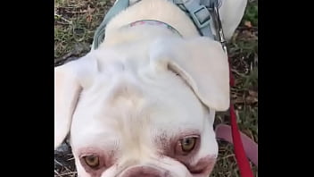 Happy Guy With A Big Heart thumbnail