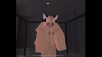 Fucking a neko slut real hard