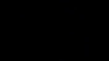 Poca luz mucho ruido