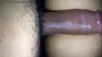 A esta gata le encanta por atras