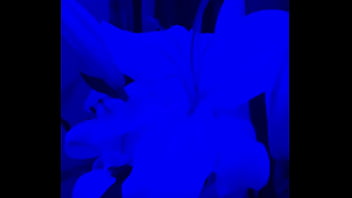 I have lilies in my room now#flowers