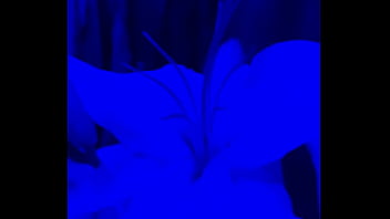 I have lilies in my room now#flowers