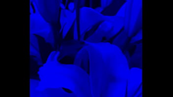 I have lilies in my room now#flowers