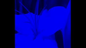 I have lilies in my room now#flowers