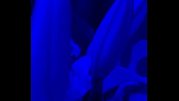 I have lilies in my room now#flowers