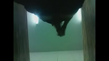 Theige Filapo thumbnail