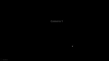 Ruby vs gigi {nf3d video game fighting rough sex}