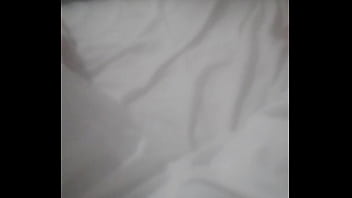 Principiae2024nav8dad