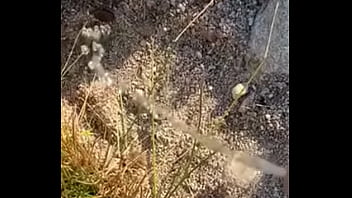 Pissing Outside Good Fun thumbnail