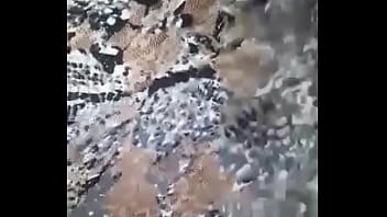 10496346 1484786751767105 1830837485 n