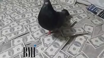 Ro lay you down high definition