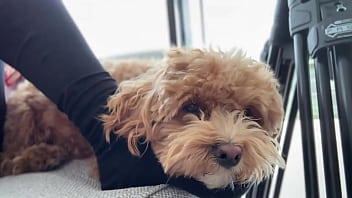 Watching porn with victor