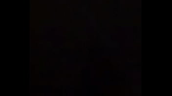 Dominicano perro ah trah