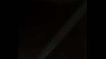 Dominicano perro ah trah