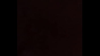 Dominicano perro ah trah