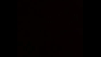 Dominicano perro ah trah