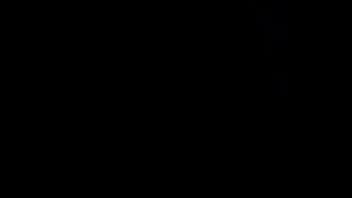 Dominicano perro ah trah