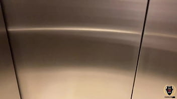 The busty pawg jaylene rio was dicked & spermed by rome major