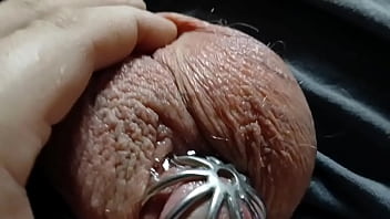 A Very Leaky Cage Puppy thumbnail