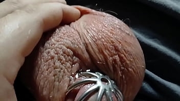 A very leaky cage puppy