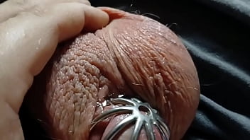 A very leaky cage puppy