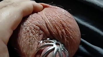 A very leaky cage puppy