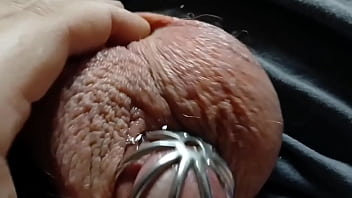 A very leaky cage puppy