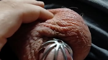 A very leaky cage puppy