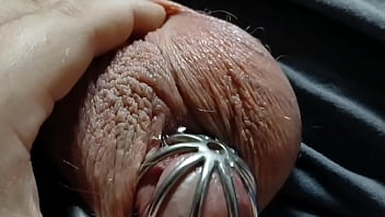 A very leaky cage puppy